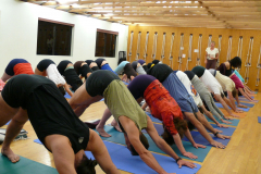 Adho-Mukha-Svanasana-group-1