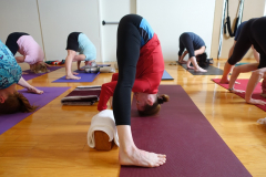 Prasarita-Padottanasana-1-group