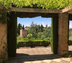 Square trellis view-rszd